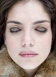 Tapco Windy Special 10' 6" Port-O-Brake