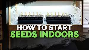 Using grow lights to start seeds. Seed Starting Indoors Under Grow Lights 101 Youtube