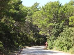 Plans change at the last second? Nacionalni Park Mljet Wikipedia
