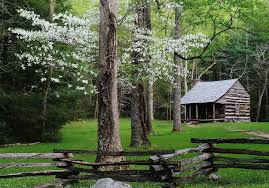 Maybe you would like to learn more about one of these? Pin By Dale Wisniewski On Houses Cottages Castles Cabins Treehouses Cabin Wallpaper Cabin Cabins In The Woods