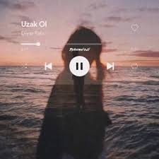 yukledigim videolar panosundaki pin