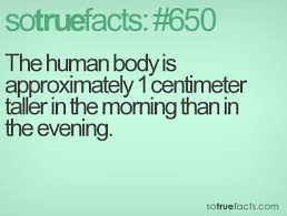 It S Possible To Lead A Cow Upstairs But Not Downstairs The Human Body Is Approximately 1 Centimeter Taller In The Morning Than In The Evening How To Grow Taller Funny Facts Learn Something New Everyday