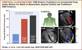 Nach silber, s., richartz, b. Feature Tracking Myocardial Strain Incrementally Improves Prognostication In Myocarditis Beyond Traditional Cmr Imaging Features Jacc Cardiovascular Imaging