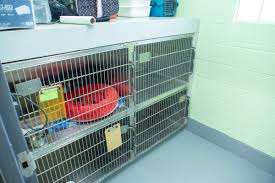 Maybe you would like to learn more about one of these? Take A Tour Of Our Sugar Land Animal Hospital
