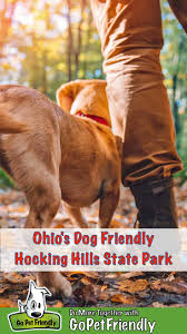 Our epic brewery in the usa is not only a. Exploring Ohio S Dog Friendly Hocking Hills State Park Gopetfriendly
