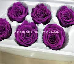 Een ongelofelijk unieke selectie die we u kunnen bieden. Wholesale Gifts Beautiful Fresh Flowers Rose Preserved Rose China Artificial Rose And Preserved Flower Price Made In China Com