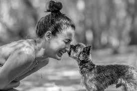 Aly rodges is truly the dog whisper! Doggy Daycare In Darmstadt Darmstadt Lily S Petbacker Hesse