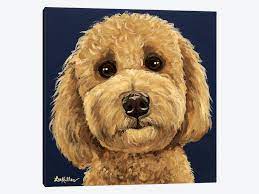 Cerca nel più grande indice di testi integrali mai esistito. Goldendoodle On Navy I Canvas Art Print By Hippie Hound Studios Icanvas