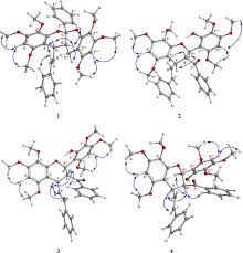 Image result for Uvaria welwitschii