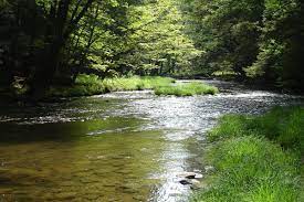 Experience the endless treasures that new york state has to offer. Allegheny National Forest Wikipedia