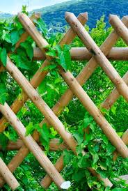 Whether you just want privacy or to keep dogs in and deer out, these fence options don't sacrifice on decor. 11 Backyard Fence Ideas Garden Fence Options For Privacy