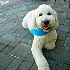 CINDER ROCK VETERINARY CLINIC