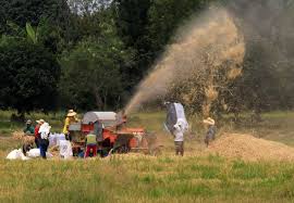 However, doing so is a big investment of both time and money. The Philippines Needs To Rethink Its Agricultural Policy East Asia Forum