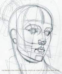 Head and face structure tutorial. Study By Stefanolanza Anatomy Sketches Portrait Drawing Drawing People