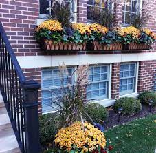 Color Combo Fall Mums Window Box Ideas Fall Window Boxes Fall Windows Window Boxes