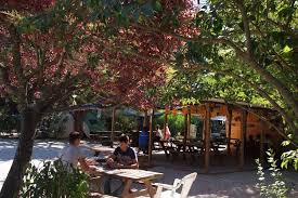 Chalet de construction récente de 25x25pi, sur 1½ étage couchant jusqu'à 10 personnes. Camping Les Hautes Prairies Lourmarin 84 Camping 3 Etoiles