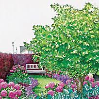 Balkonblumen Fantasievoll Kombiniert Vorgarten Balkon Blumen Garten Neu Anlegen