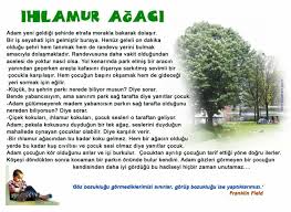 Ihlamur Agaci Hikayesi Egitim Psikoloji Hayata Dair Ipuclari
