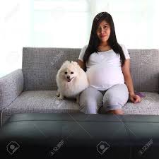 Woman Pregnant 9 Month And Pomeranian Dog Cute Pets Stock Photo Picture And Royalty Free Image Image 80735264
