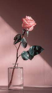 Iphonebackground Flower Aesthetic Iphone Wallpaper Vintage Aesthetic Roses