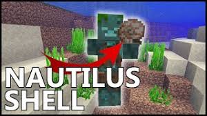 The third option is to find a traveling merchant in the world. Where To Find Nautilus Shells In Minecraft Youtube