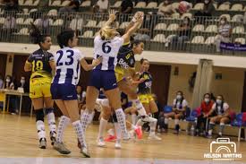 Angola perde com o japão e falha apuramento à segunda fase do mundial. Andebol Feminino Suspenso Ate 15 De Fevereiro Dnoticias Pt