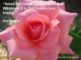 Stop and smell the roses quotes; The Beauty Of Roses Colorful Photo Quotes Archi Living Com