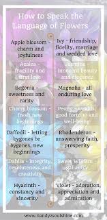 How To Speak The Language Of Flowers Effectively Language Of Flowers Flower Meanings Flower Meanings Chart