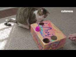 This is beneficial particularly on hotter, more humid days, or if the litter isn't cleaned as and when the cat uses the box, they kick up the litter to cover their business. How To Make A Diy Soda Box Cat Toy Youtube