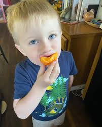 The Sourdough Podcast