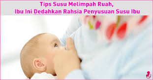 Nilai kalori tersebut adalah bersamaan dengan 200 gram isi ayam, semangkuk salad ringkas, sayur kacang panjang dan secawan air masak. Tambah Susu Badan Dengan Pantas Tips Susu Melimpah Ruah