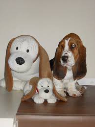 facebook hunde hunde welpen jagdhund