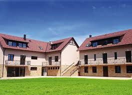 Image result for animovan  p%u0159 n  k narozenin m