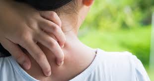 L'ingestione di determinati alimenti può causare una reazione allergica in alcuni soggetti il cui sistema immunitario individua. Sintomi Dell Allergia Al Grano Dr Schar Institute