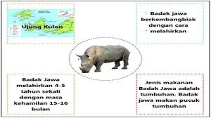 Check spelling or type a new query. Kunci Jawaban Tema 5 Kelas 5 Halaman 152 Dan 153 Materi Kegiatan Berbasis Proyek Dan Literasi Halaman All Tribun Padang