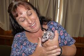 Hanzi Yaita Sei Tsoka Ya Lorraine Guyo 🤣🤣