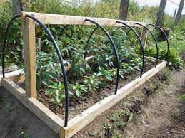 Epingle Sur Jardin