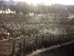 Lieutenant Edward (Ted) Workman MC | The Belfast Shipyard