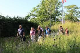 Your search did not return any news results. Naturschutzorganisationen Verpflichten Wadenswil Zu Mehr Biodiversitat Ein Interview Naturschutz Ch