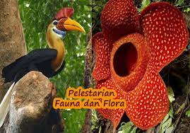 1.menghindarkan jenis tumbuhan dan satwa dari . Upaya Upaya Pelestarian Flora Dan Fauna Konsep Geografi