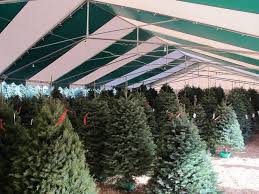 Maybe you would like to learn more about one of these? Christmas Tree Shop Christmas Trees Online Discount Shop For Electronics Apparel Toys Books Games Computers Shoes Jewelry Watches Baby Products Sports Outdoors Office Products Bed Bath Furniture Tools Hardware