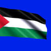تحدي حرق علم سوريا في شوارع فلسطين مقابل 100$. Https Encrypted Tbn0 Gstatic Com Images Q Tbn And9gcssk3ub Em5fzcgve6wkdigfrzljs5e9nsoeppzqyfmb Zzfc8d Usqp Cau