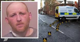 Police puppies forced to retire after horror smash caused by road menace  who seriously injured PC