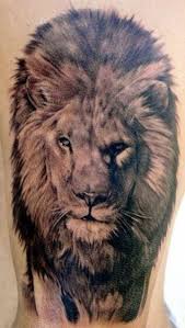 Is there possibly anything more fierce than a mountain lion? The King 105 Best Lion Tattoos For Men Improb