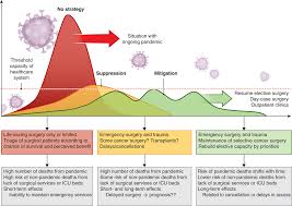 Immediate And Long Term Impact Of The Covid 19 Pandemic On Delivery Of Surgical Services Soreide 2020 Bjs British Journal Of Surgery Wiley Online Library