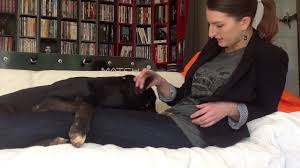 Ux loulous pleins d'amour qui n'attendent qu'une chose, poser enfin leurs valises dans une famille aimante. Alerte A Malibull Gaspard Attend Sa Famille Youtube