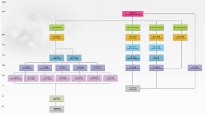 Organisation Chart Procurement And Public Property Division