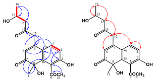Image result for Monothecium