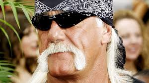 In 2015, hogan was a judge on the sixth season of tough enough, alongside paige and daniel bryan, but due to the scandal, he was replaced by the miz after episode 5. Hulk Hogan Wegen Rassismus Gefeuert Panorama Sz De