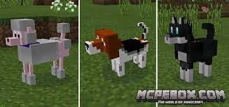 Download new animal mods for free and continue to enjoy your favorite game. The Top 5 Dog Mods For Minecraft Pe Bedrock Edition Mcpebox